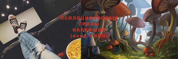 индика Алзамай