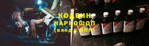 индика Алзамай