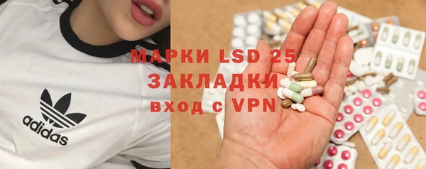 индика Алзамай