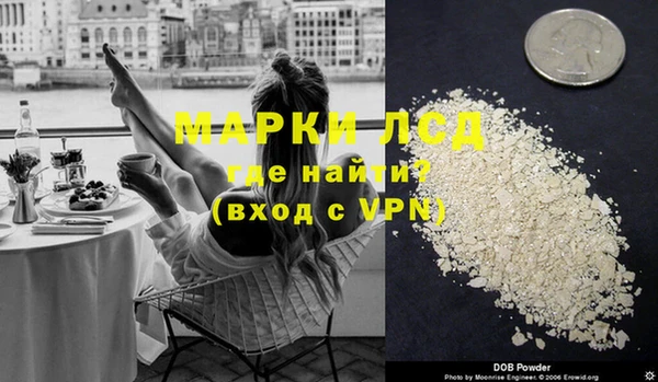 индика Алзамай