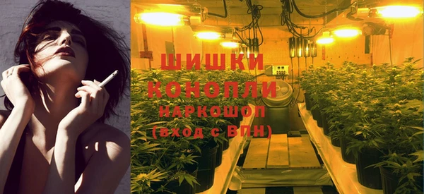 индика Алзамай