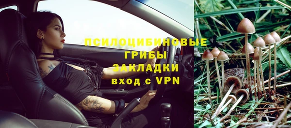 индика Алзамай