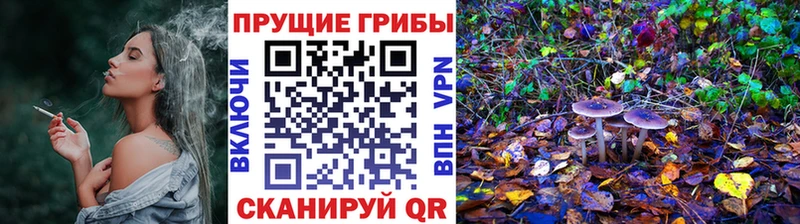 Псилоцибиновые грибы мицелий  Мичуринск 
