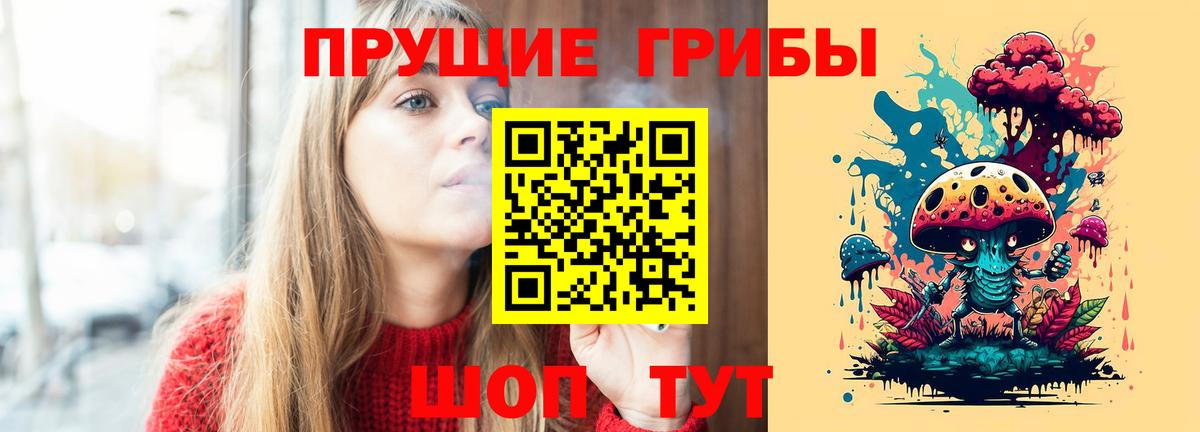 Галлюциногенные грибы Psilocybe  Вход с VPN  Мичуринск 